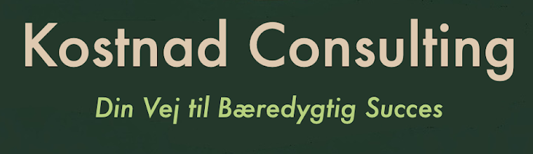 Kostnad Consulting